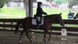 Starr & Laura M. Estrada - Training Level, Test 1 - ICC Spring CDS Rated Show 2022