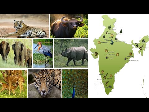 National parks in India - The Complete List of National Parks