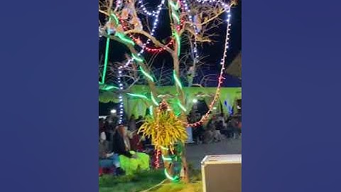 Quý Sơ Dòng Đaminh Bùi Chu biểu diễn Khánh Thành TTMV GX Tư Khẩn