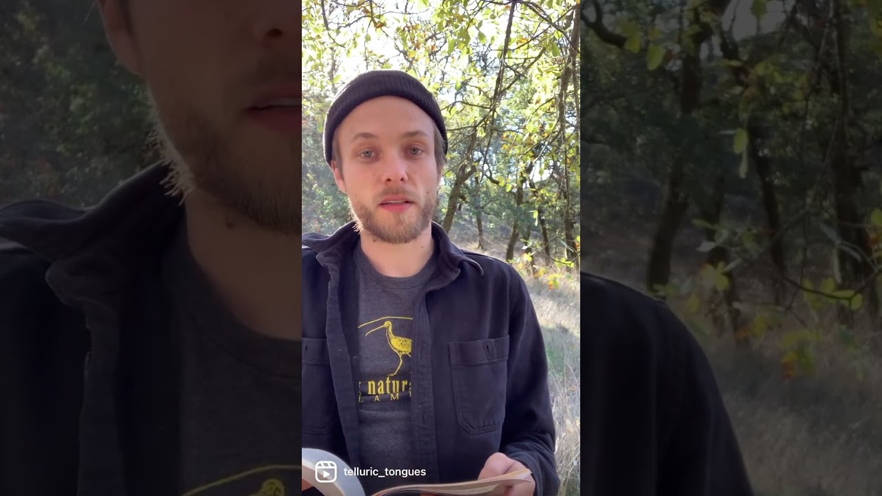 Thought-work by John O’Donohue