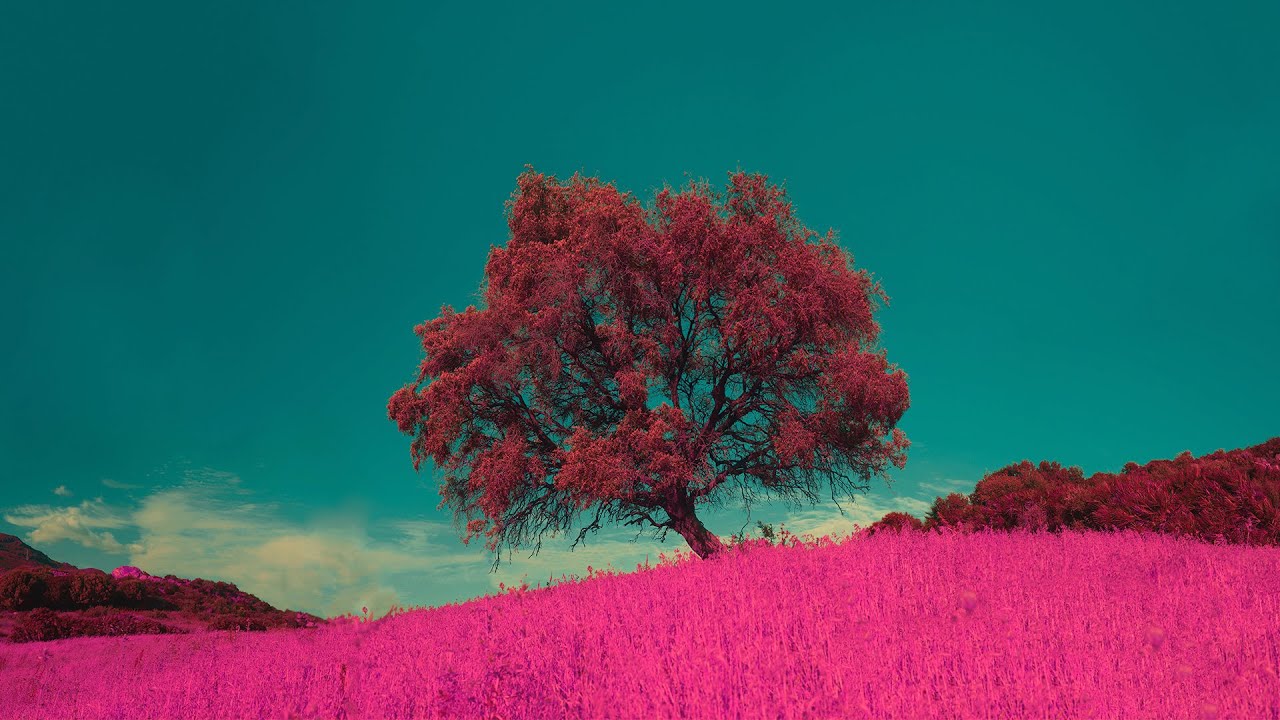 Dan Sieg - Erko [Silk Music]