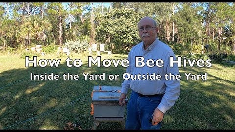 VERPLAATSEN van een bijenkorf - binnen de tuin of buiten de tuin