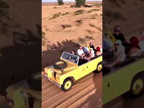 Discover Dubai's Desert Three Unique Nature & Wildlife Experiences