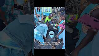 Saving Dominica’s Sea Turtles! 🇩🇲🐢