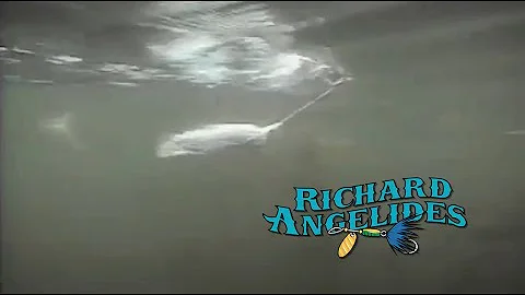 Richard Angelides in Expedition One's Gone Fishin'