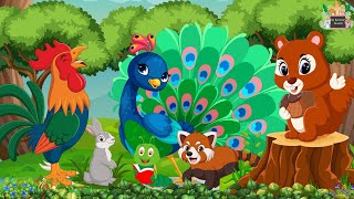 Wild Animal Sounds: Peacock, Red Panda, Chicken, Squirrel  Animal Sounds