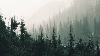 Mitch Cosby - Haven