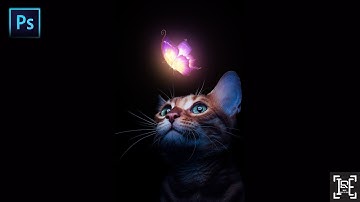 photoshop tutorial: How to create a night vision effect in photoshop