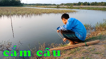 CSRV 42 | CẮM CÂU CÁ LÓC ở địa điểm mới, kết quả dính được con cá trê bự chảng