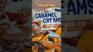 Dollar General, Dollar Tree & Temu Haul #dollargeneral #dollartree #temu #fypp #shorts