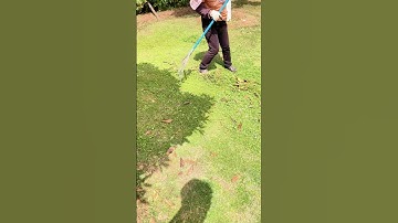 The process of clearing the grass - good tools assist in the work