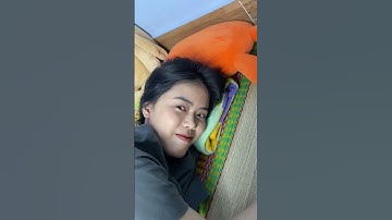 Đang cảm động tự nhiên hoá cảm lạnh