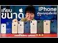 รีวิว iPhone 12 Pro Max Size Comparison เทียบขนาด iPhone ทุกรุ่นที่หาได้!