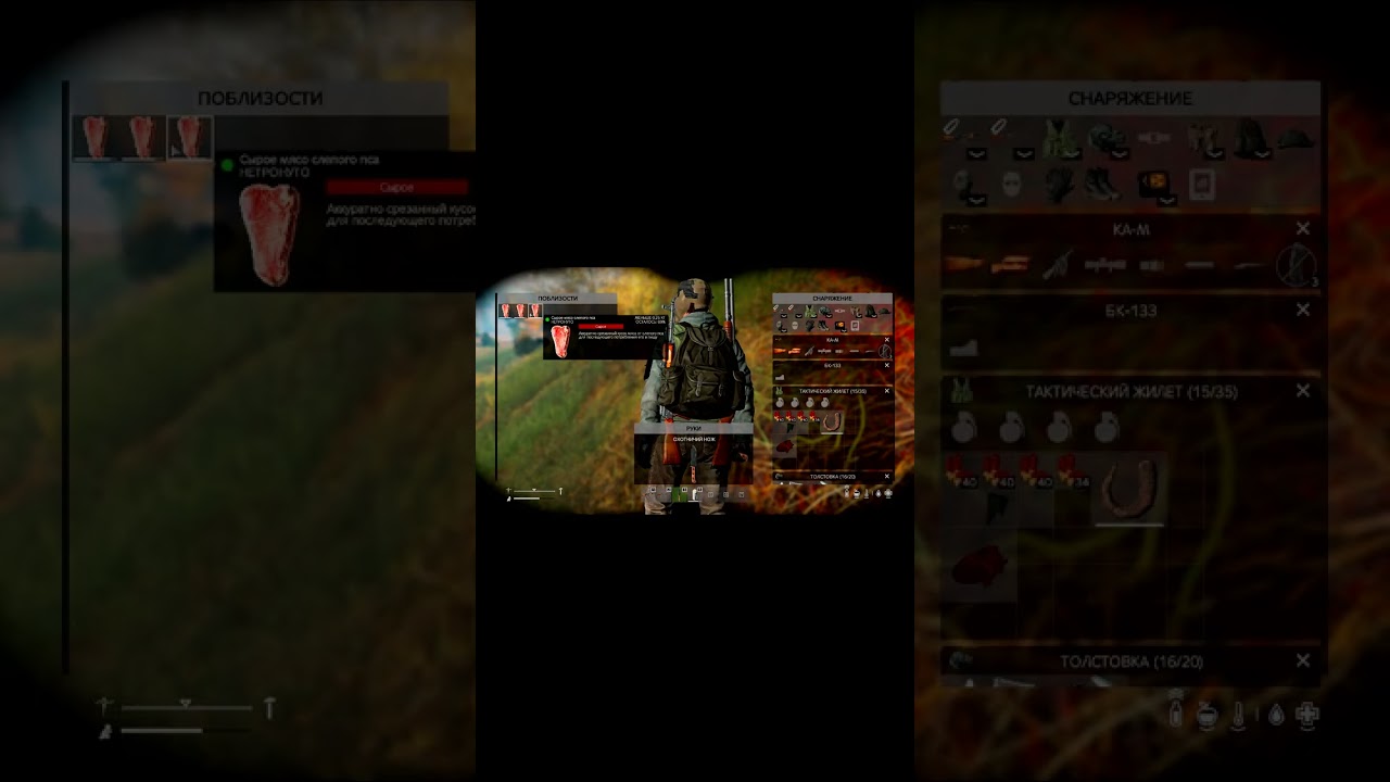 🌿🌿🌿Братья меньшие😂😂😂 Stalker RP DayZ