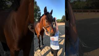 Ellie How To Video with Sharky