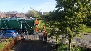 Greyhound MAN Collecting Green Bins