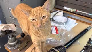 PuddyMod DIY how to change the Honda S2000 differential input (driveshaft) flange