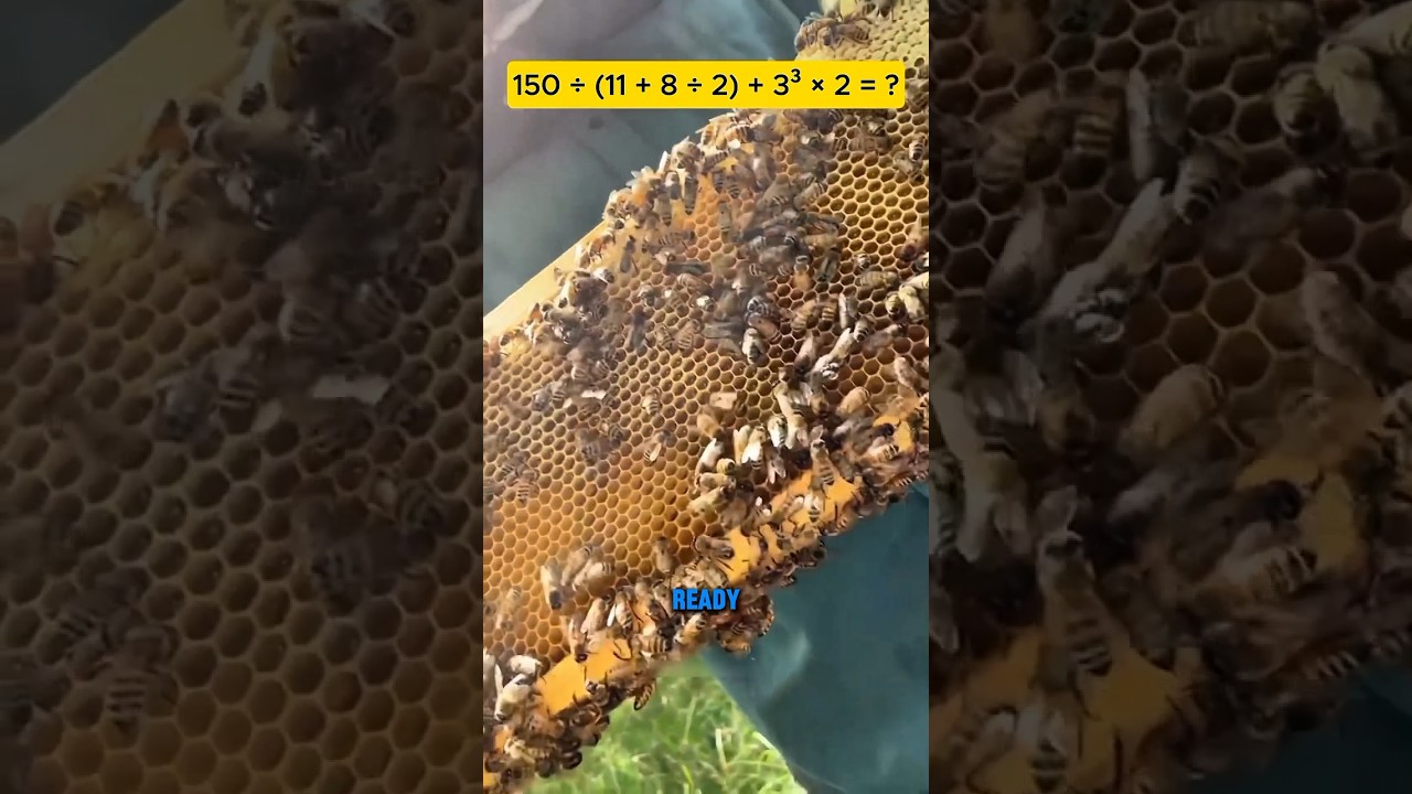 #мем_анимации