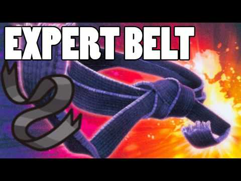 Expert Belt Followup - Expert Belt Followup