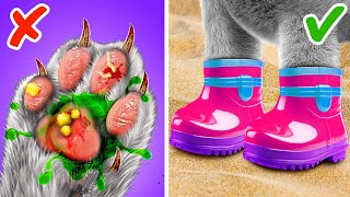 Live. Save your Pet everywhere! Rich VS Poor Pet Gadgets, DIY crafts for Cats and Dogs