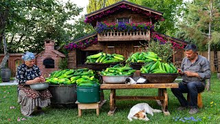 60 Days of Hard Working: Cucumbers  From Seeds to Harvest