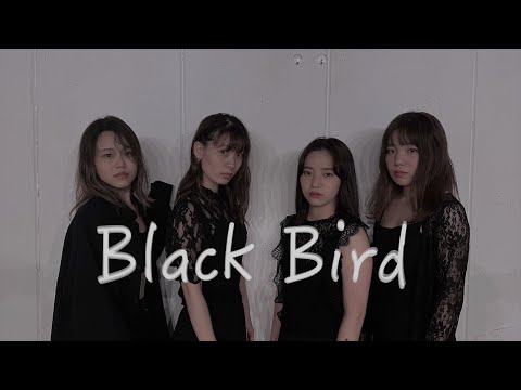 Aimer / BlackBird 【踊ってみた】