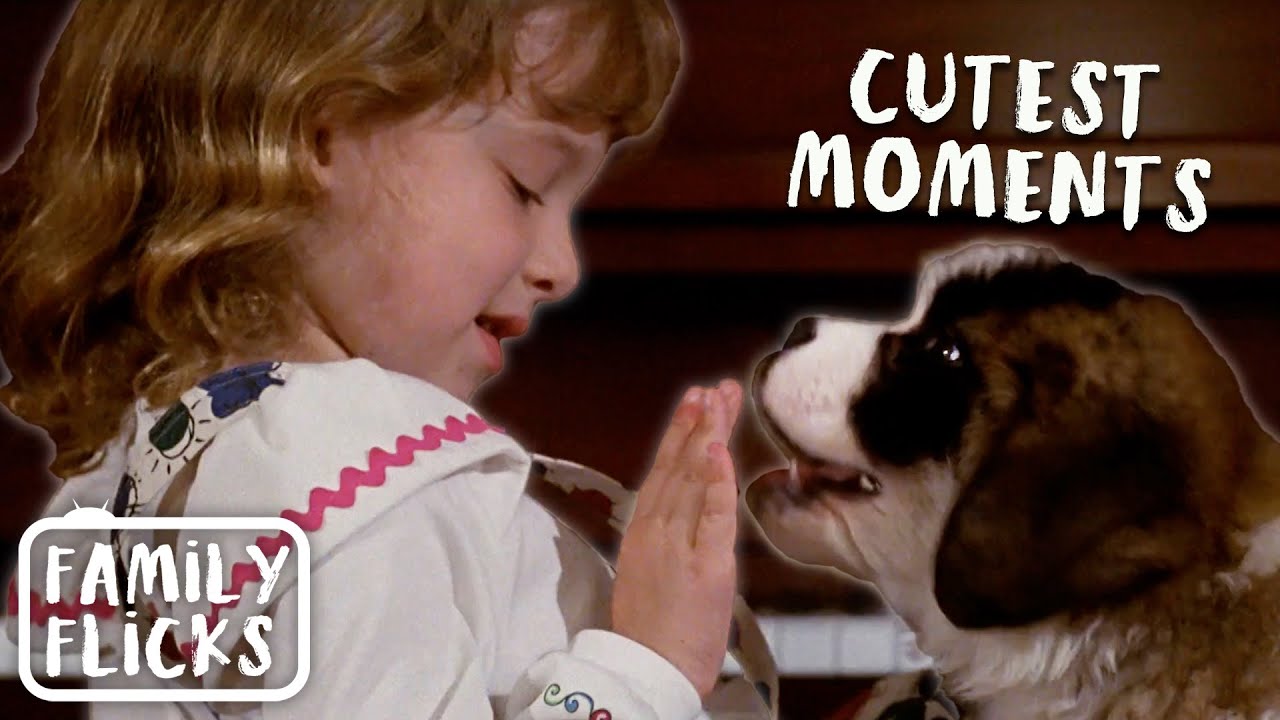 Beethoven's Cutest Moments | Family Flicks