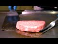 Ishigaki Wagyu: Okinawa's Rarest Steak - Teppanyaki in Japan
