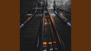 Lively Moods for Condo Elevators