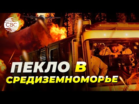 Огонь подбирается к домам: Турция и Греция охвачены лесными пожарами