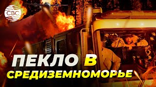 Огонь подбирается к домам: Турция и Греция охвачены лесными пожарами