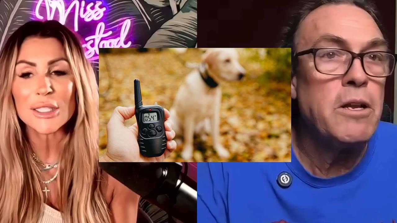 Mastering Public Behavior: Train Your Dog Like a Pro