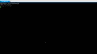 telnet 이용 웹 접속