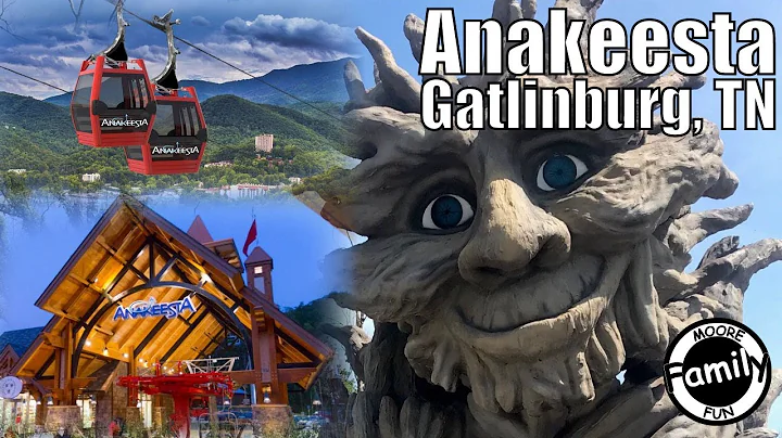 Anakeesta | Gatlinburg, TN | 2020