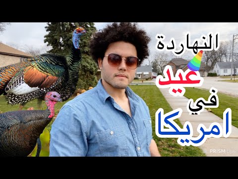 النهاردة عيد في امريكا تعالوا احكيلكوا قصة عيد الشكر و الديك الرومي
