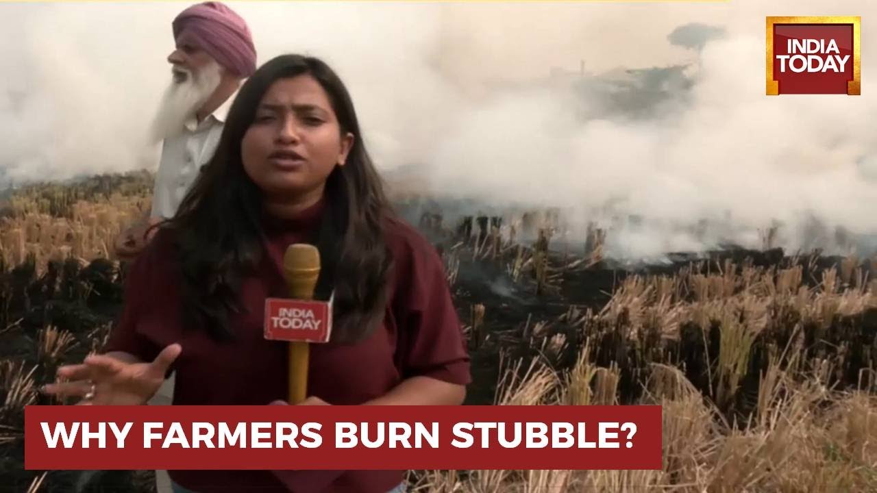 Why Farmers Continue To Burn Stubble? Ground Report From Punjab YouTube