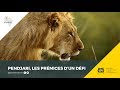 Documentaire : Pendjari, les prémices d'un défi.