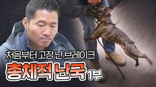 총체적 난국, 프렌치 불독 레오 1부｜내 강아지의 공격성 The aggression of my dog