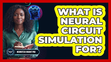 What Is Neural Circuit Simulation For?