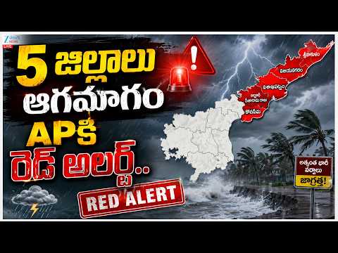 LIVE: Heavy Rains & Cyclone Threat To AP | Red Alert | 5 జిల్లాలు ఆగమాగం..APకి రెడ్ అలర్ట్ |ZEE News - ZEE24TELUGUNEWS