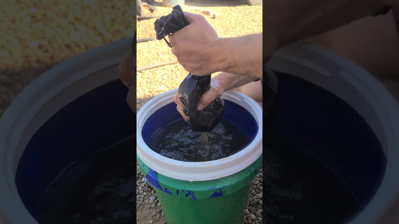 Worm casting extract to fertilizer my garden!! 