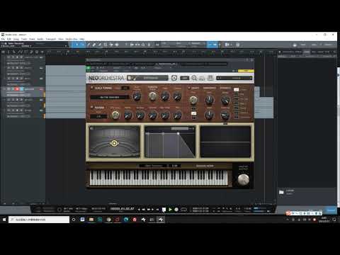 Bass Ray5 Video Demo/Introduction