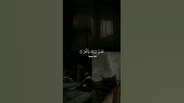 سورة الكوثر عبدالرحمن مسعد