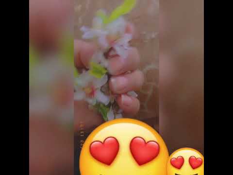 ان غبنا يوما وغابــــ ــت الاخبار فالدعااء وصيه بيننا 