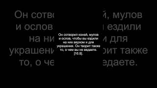 Сура 16 (8)– Ан Нахль Пчёлы АЛЬ КОРАН РУССКИЙ ПЕРЕВОД