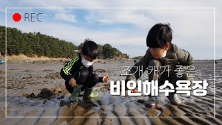 충남 서천 | 비인해수욕장 - 조개 캐기 입문자를 위한 #비인해수욕장 #충남서천 #갯벌체험 #가족여행
