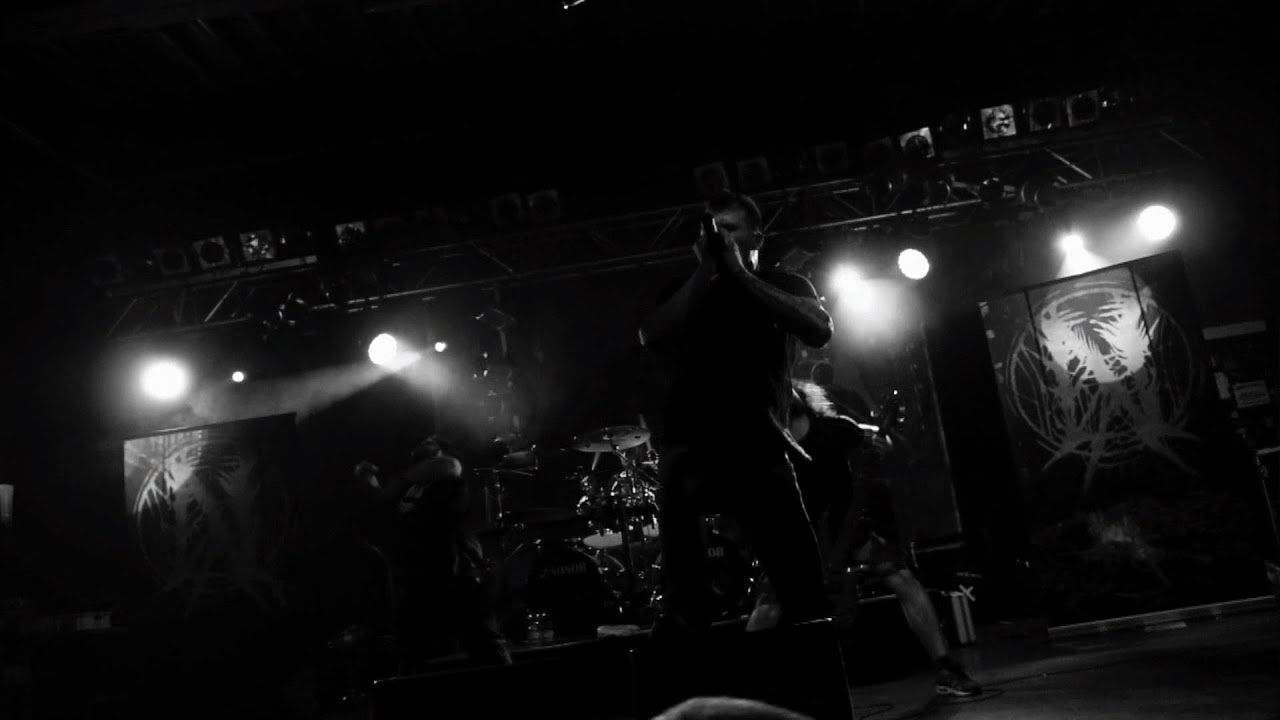 NECROTTED - SIX FEET DEEP, NO PARTY TOO STEEP [OFFICIAL MUSIC VIDEO] (2019) SW EXCLUSIVE