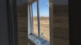 The Simple Beauty Of Decor