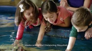 NEW! Pacific Blacktip Sharks at Adventure Aquarium