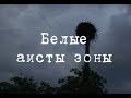 Чернобыльские джунгли. 20 лет без человека... Часть 6 [Белые аисты зоны] | Film Studio Aves